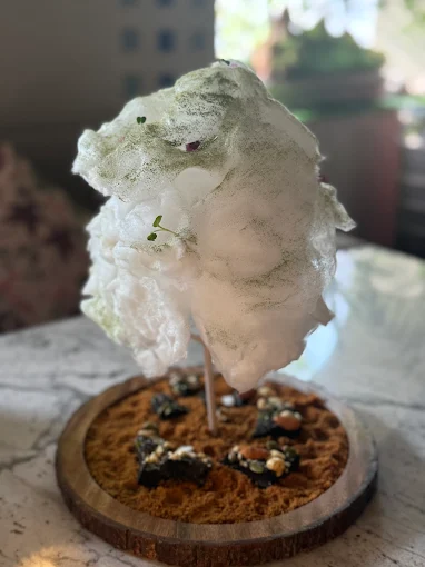 Ivoryy Fusion Bar gallery image 1