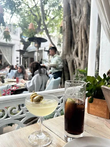 Olive Bar and Kitchen gallery image 5